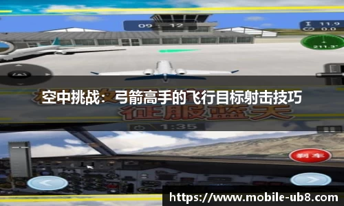 空中挑战：弓箭高手的飞行目标射击技巧