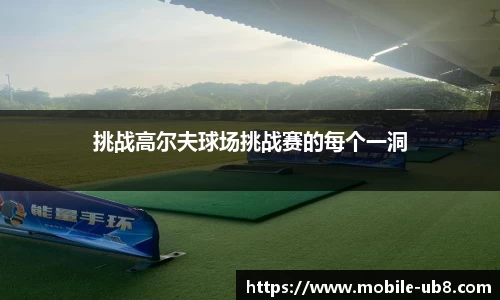 挑战高尔夫球场挑战赛的每个一洞